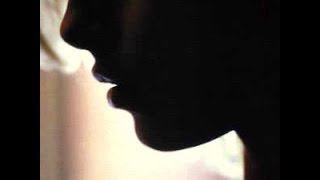 Willie Pickens Trio - Don't Explain