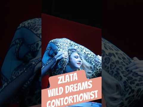 #Zlata #ExtremeContortion #WildDreams #FlexibilityGoals #Contortionist #अद्भुतलचक #योगलचक