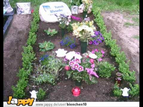 Erinnerung an Jenne- 1 Jahr R.I.P. we miss you