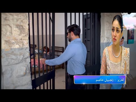 Shiddat Episode 14 Teaser|#shiddat15|Shiddat Episode 14 Promo|Har Pal Jeo Drama