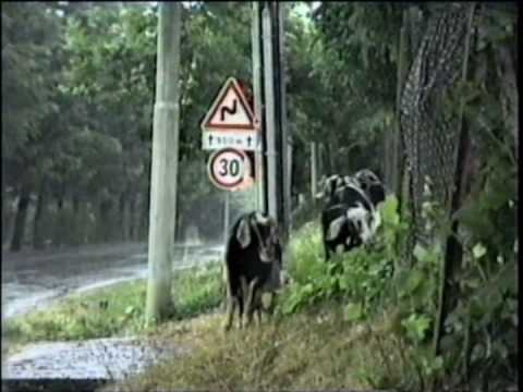 Gente del mio Paese- parte 1-