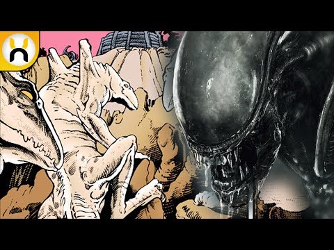 Natural Predator of the Xenomorph Species - Explained