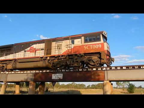 Junee Trains SCT009, CSR011 & SCT004 with 2BM9
