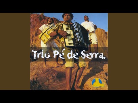 É Só Saudade - Trio Pé De Serra