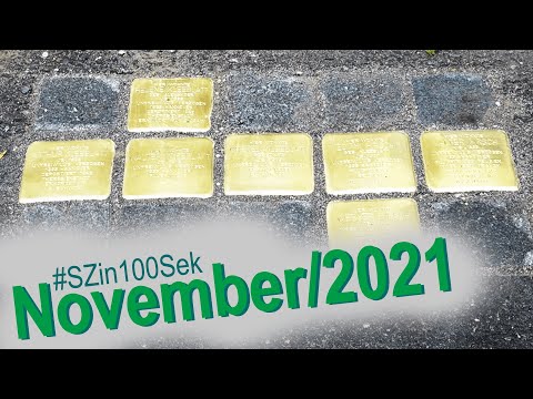 Salzgitter in 100 Sekunden - #11 November 2021