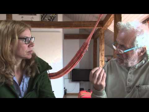 Heilmittel der Natur (5): Natur-Zeolith (Klinopthilolith) mit Walter Häge