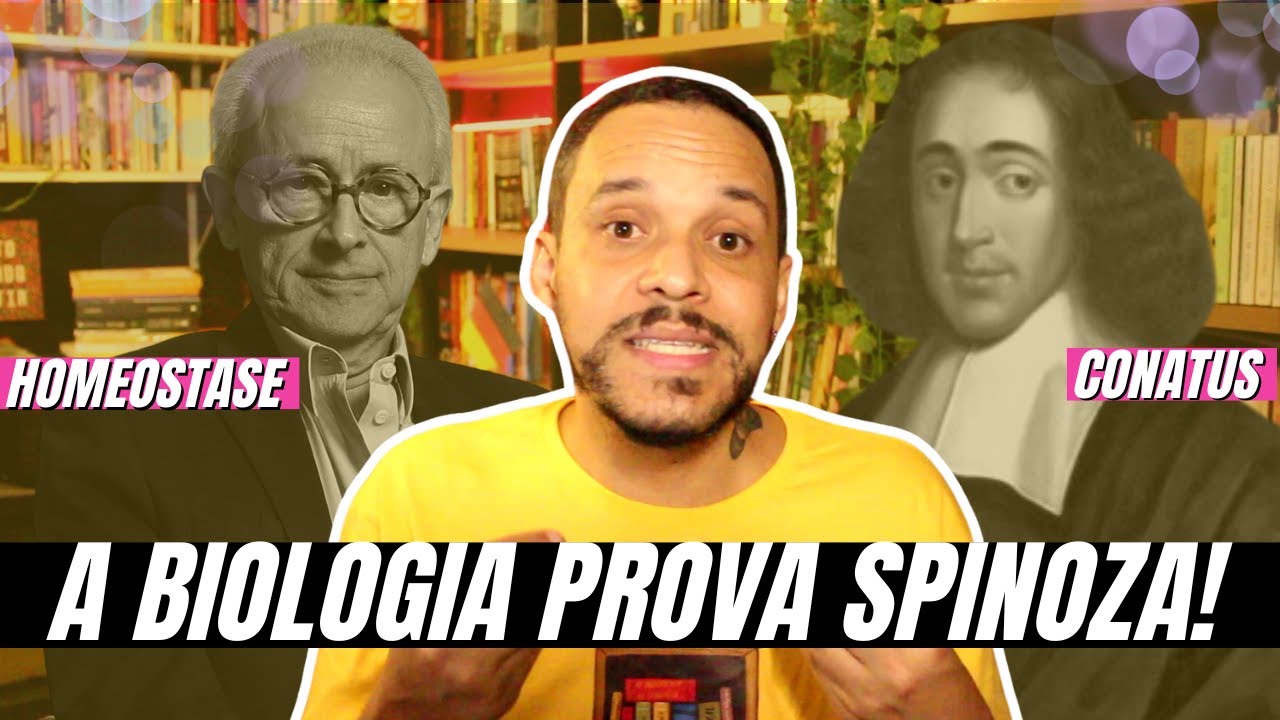Qual a relação entre conatos e homeostase? A neurobiologia em Espinosa segundo António Damásio