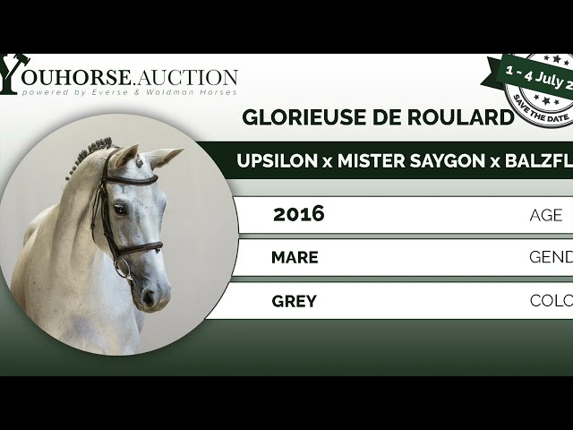 Glorieuse @ show