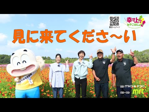 2023年10月25日(水)放送 第30回 南部ふれあい広場のコスモス