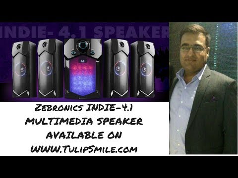 Zebronics indie 4.1 multimedia speaker