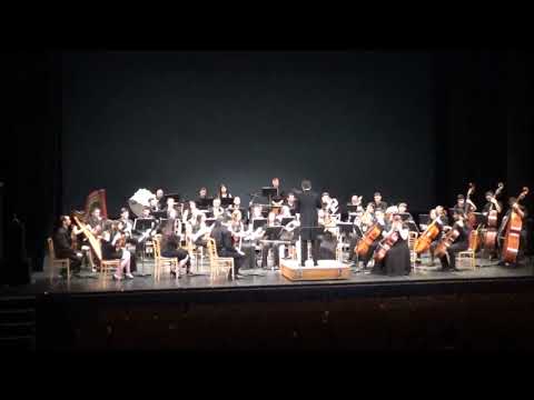 Concertul simfonic ARTS+/ The ARTS+ Symphonic concert: Erasmus+ VET project entitled ”ARTS+”