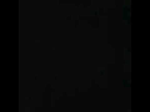 Saddam Bush - Passwort