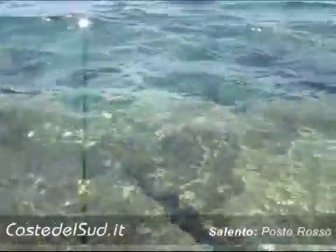 Cambiamento di pigmentazione di posizione della pelle Perché cè su un naso pigmentary posti