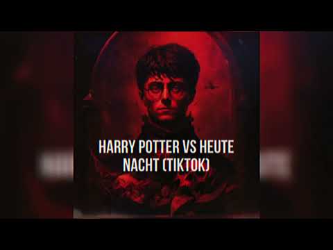 [TIKTOK] Harry Potter vs Heute Nacht (Nic Johnston Mashup)