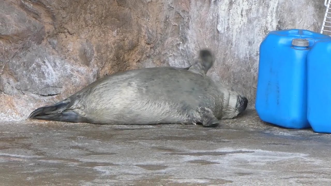 あっち行きたい