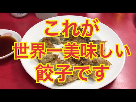 [Kitakyushu] Comí lo que creo que es el gyoza más delicioso del mundo.