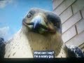 Stuart Little 2 Falcon
