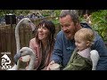 Flamingo Mingle At The L A Zoo