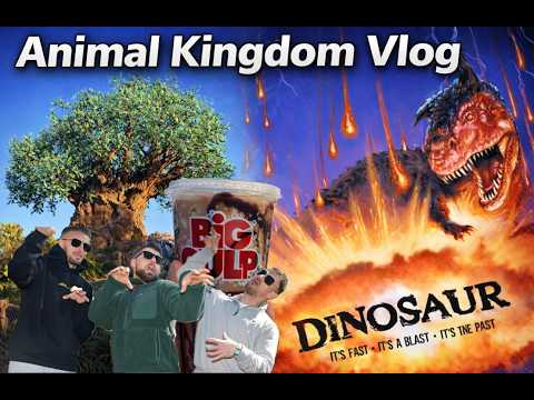 Animal Kingdom/EPCOT Day 1