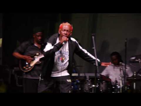 Horace Martin - Sound Boy Style - Live In Toronto - Rastafest 2019