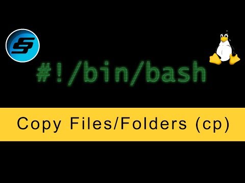 Copy Files Folders cp Bash Scripting