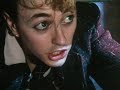 Stray Cat Strut de Stray Cats