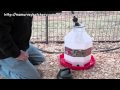 Video: Dura 5 Gallon waterer