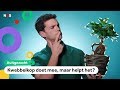 Kan #TeamTrees het klimaat redden? | UITGEZOCHT #4