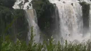 I Only Know How To Love ~ The Canadian Tenors