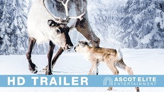 Trailer Preview Image