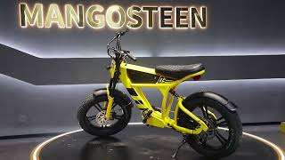 USA Stock FT03 Electric Bicycle 750W 48V 18.2AH Battery Cheap Electric Bike 20Inch Wheel