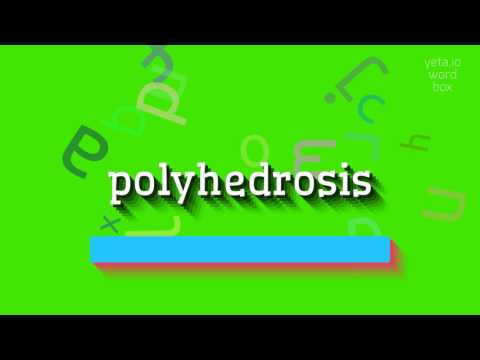 HOW TO SAY POLYHEDROSIS? QUICK AND EASY!