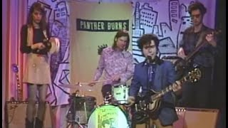 Tav Falco &amp; Panther Burns