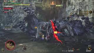 [モンハンワイルズ]歴戦王アルシュベルド❕