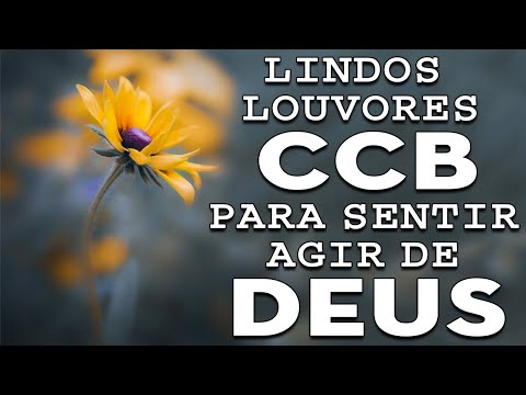 Hinos CCB 2023 - Hinos de silencio CCB para Dormir - Eu desejo, Senhor, só em Ti descansar
