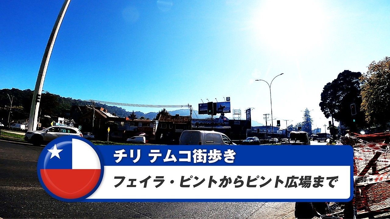 【チリ】テムコ③フェイラ・ピントからピント広場まで