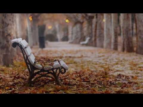 Phút mong chờ - Sao Mai