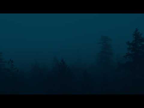 REZarin - The Response