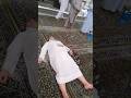 Main Bnda E Aysi Hon Maa Shaa Allah Haram Shareef