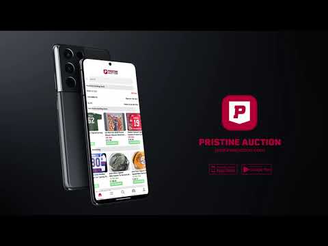 Pristine Auction