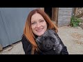 A Saveafox Update From Ruby Fox