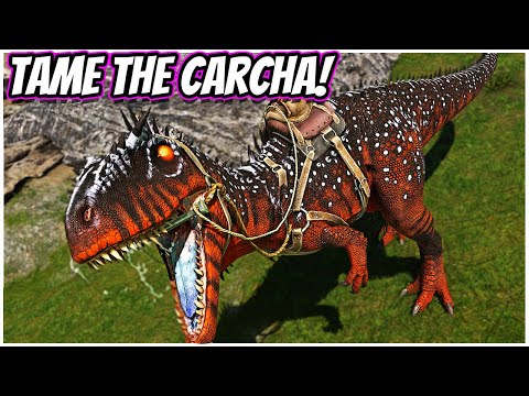 How To Tame The CARCHARODONTOSAURUS And It's Abilities!!