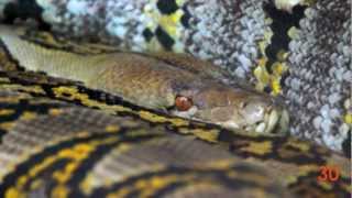 What is it? - 1 - A language/logic game for English learners and EVERYONE!