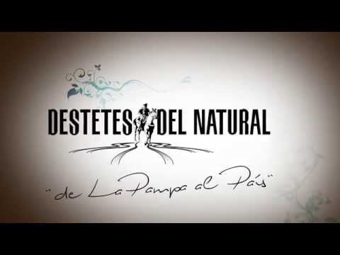 DE FRENTE AL CAMPO junto a DESTETES del NATURAL