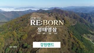 지역 활력 캠페인 RE:BORN with 정태영삼 – 정선편