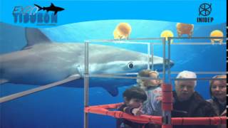 DIA 2 Expo Tiburon184