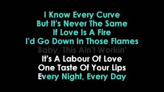 Bon Jovi Labour of Love karaoke   | GOLDEN KARAOKE