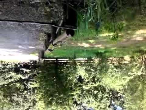 Pensiunea Forest Mirage - accomodation prahova