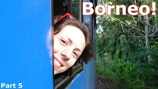 Borneo! | Motorbike! Fireflies! Trains! Rafting!