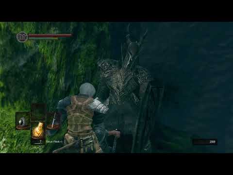 Parry Practice with Black Knight at Darkroot Basin | Dark Souls Remastered
